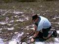 Chief Rowley vs. Canebrake Rattle Snake