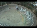 CODY OLSEN  SK8 TAM CR AND  FDR BONUS
