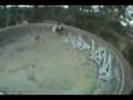videos de CODY OLSEN  SK8 TAM CR AND  FDR BONUS