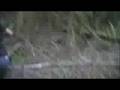 The Great Sasquatch Hunt