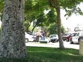 idiots busted stealing part 1
