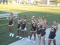 Taco Bell Cheer