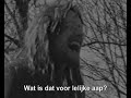 greate-pier-en-de-zombies-from-hellnl.html