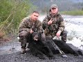 bear hunting in alaska