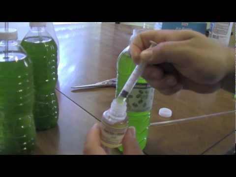 how to grow zooplankton