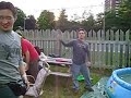 inter species wrestling   canada day shenanigans!