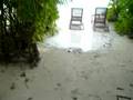 YCS Holiday in Maldives'08 - Mini Tsunami !!??