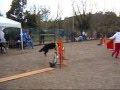 videos de 3°posto in combinata a Perugia