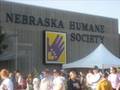 Walk '08 for the Animals