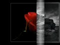 Poema del adiós - Poema Jose A.Buesa Poema del adiós - Poema Jose A.Buesa