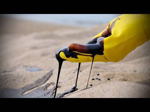Wendy Schmidt OIL CLEANUP X CHALLENGE