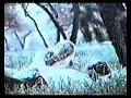 ultra brite commercial with farrah fawcett  70s 