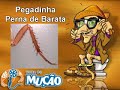 Mucao.com.br - Pegadinha - Perna de barata