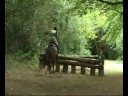 Ballinacoola One Day Event