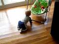 guinnee helping brodey