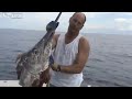 Click here to watch this video sharks attack big marlin