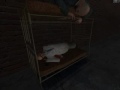 When Your In Prison Garry\