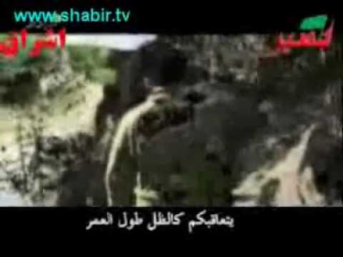 جنسي