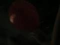 videos de CHENOA