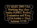 SV BSZS 2003 Ulm Asslan v Haus Schiran Evaluation and Ring