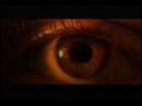 Small Gauge Trauma DVD Promo