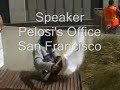 Reid/Pelosi Surrender Monkeys
