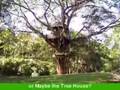 Experiencing-Nature-