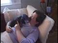 Adventures of Tabby the Dachshund