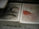 名物･天草大王など九州の食材を使ったコースが人気の和食ダイニング