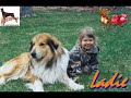 AMAZING DOBES VIDEO PART 2_0002.wmv