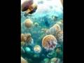 Gas (Mat Jarvis) - Microscopic