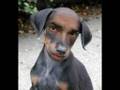 videos de Countries of the World (very funny!!)