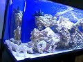 Tank Aquascaping Tank Aquascaping