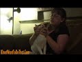 How to give a cat a pill How to give a cat a pill
