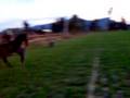 videos de Spirit..1