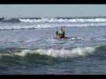 Surf Dog Louie Paddles on a 7ft GT Board