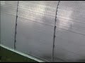 Jimmie Johnson burnout and trophy