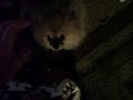 The  Psychotic Pomeranian