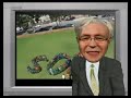 Rudd Apology