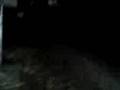 videos de rise il pazzo2