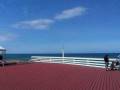 Puerto Rico Que Lindo...By Junior Ortiz