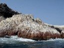 Manu on the speed boat in Ballestas Island-Per�