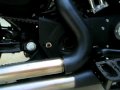 2009 Harley 883 iron