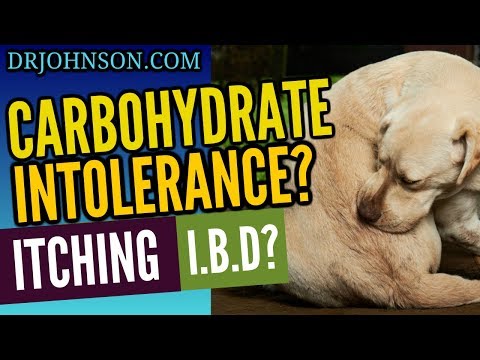 Carbohydrate Intolerance = Itchy, Fat, Inflammatory-Bowel-Disease Dogs