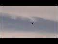Blade 400 - First Flips