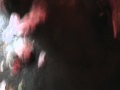 Bekijk video