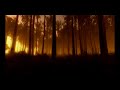 MechWarrior: Living Legends - February08 Teaser MechWarrior: Living Legends - February08 Teaser