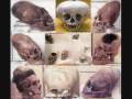 HUMANS ARE COPY CATS, KNOWLEDGE IS HANDED DOWN