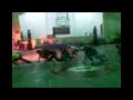 EARIST COBPA Maximum Extreme Dance Company