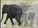 mouvement indig�ne